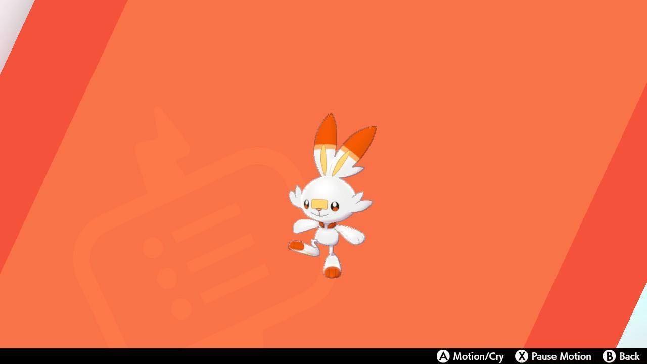 Scorbunny