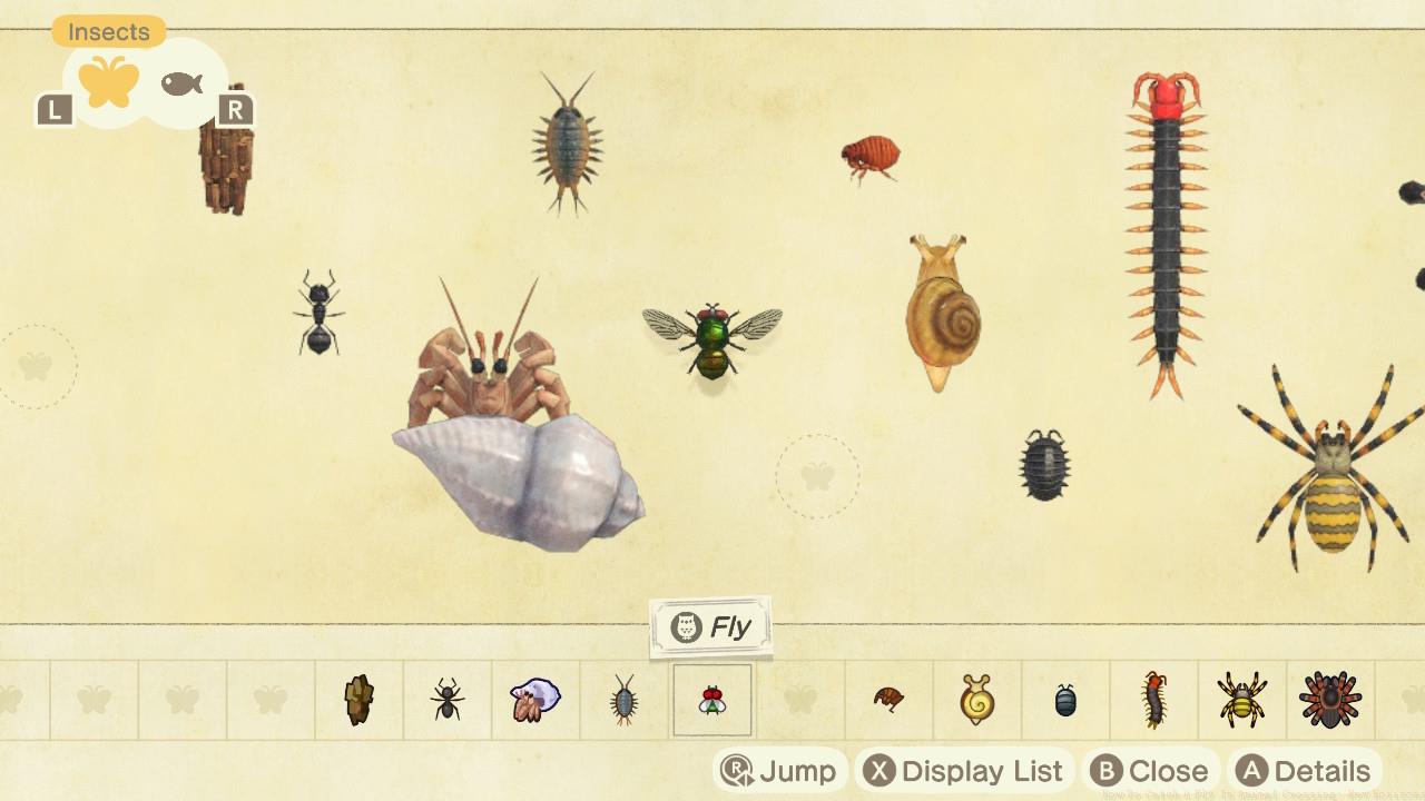 A fly in Animal Crossing: New Horizons' Critterpedia.