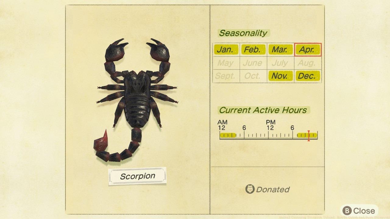 Note: This is a Critterpedia entry for a Southern Hemisphere island. Scorpions are now in season for Northern Hemisphere players.