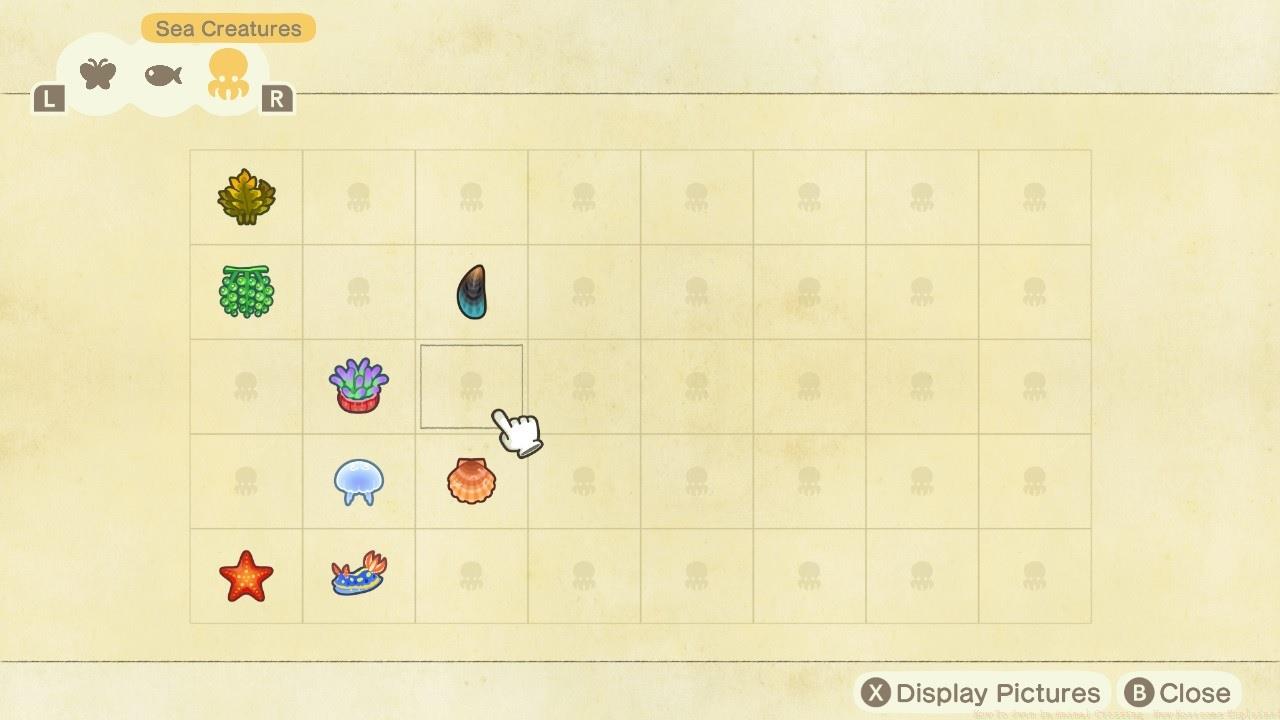 Start filling your Critterpedia with new sea creatures, like the sea anemone or moon jellyfish.