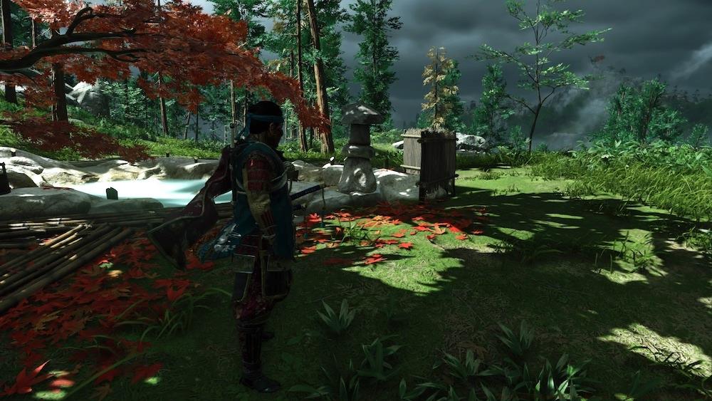 Rising Trees Hot Springs environmental view