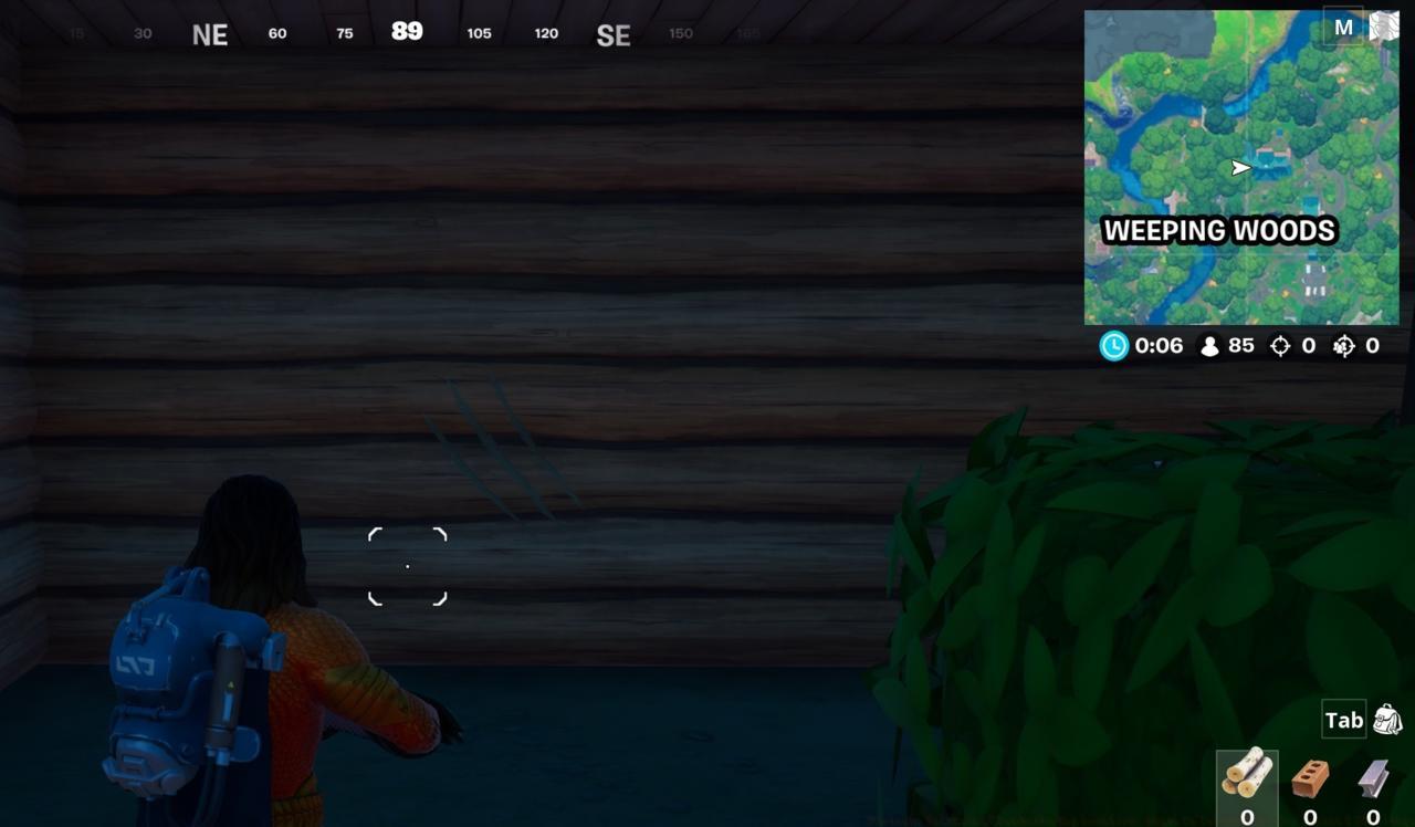 Claw marks at the house