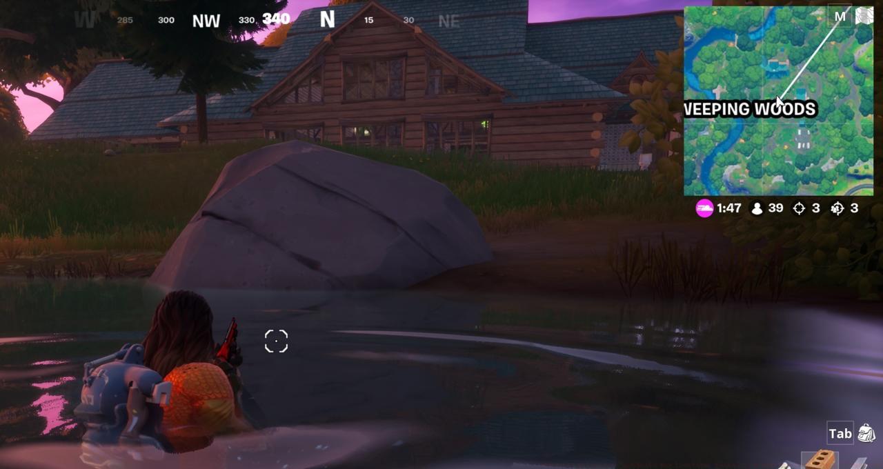 Claw marks on the rock