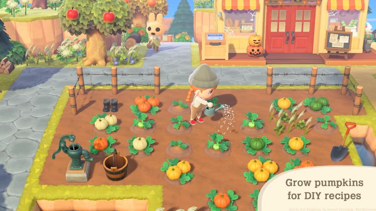 Watering a pumpkin patch in Animal Crossing's new Halloween update.