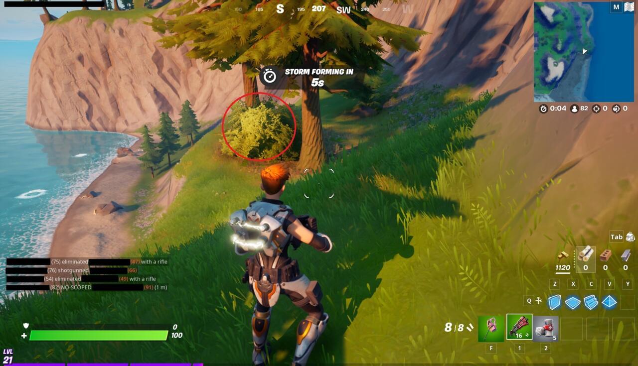 The bush concealing the hidden bunker.