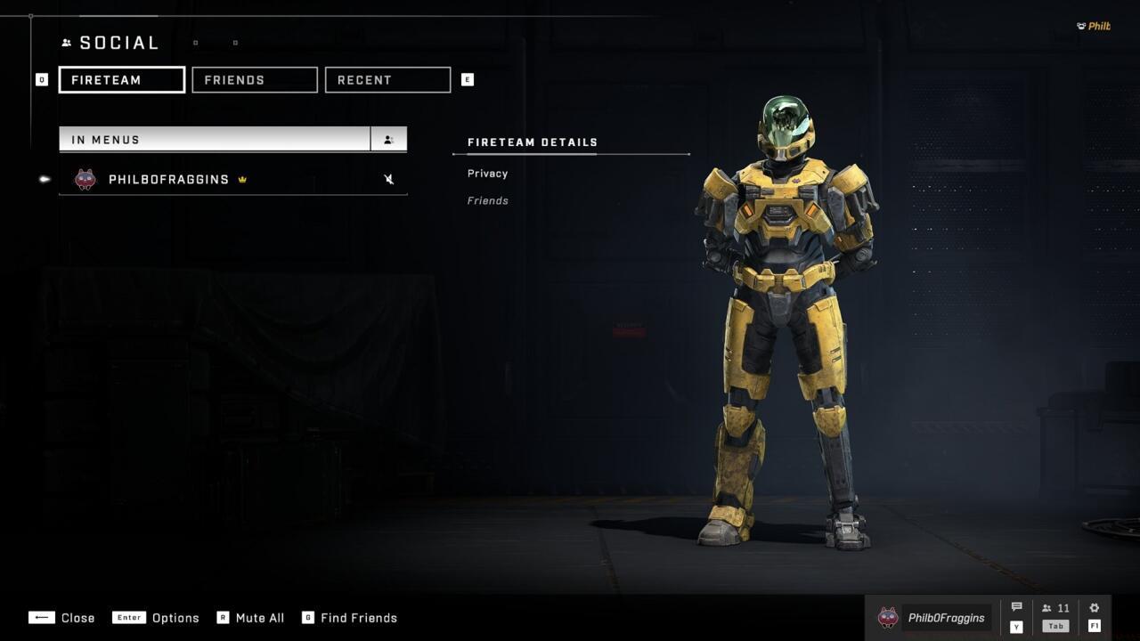 The Social menu gives you control over voice chat, as well as the ability to look at other players' profiles.