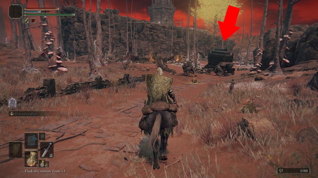 We do not recommend petting the dogs.