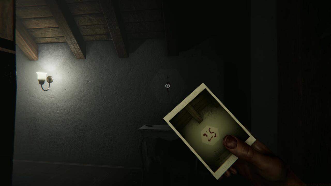 If you're playing on normal, the blank Polaroids hint that you should snap some pictures.