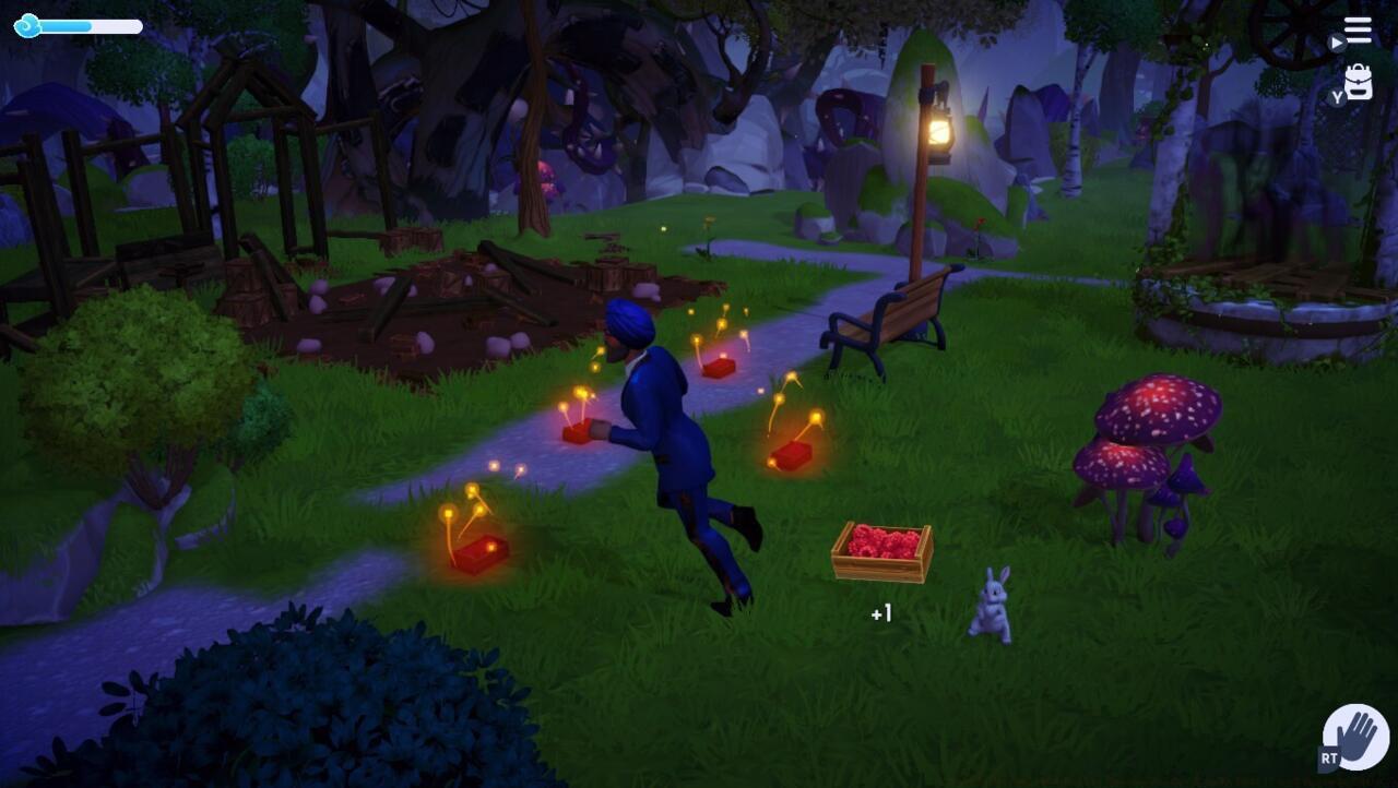 Hustling to grab all of the raspberries before time runs out