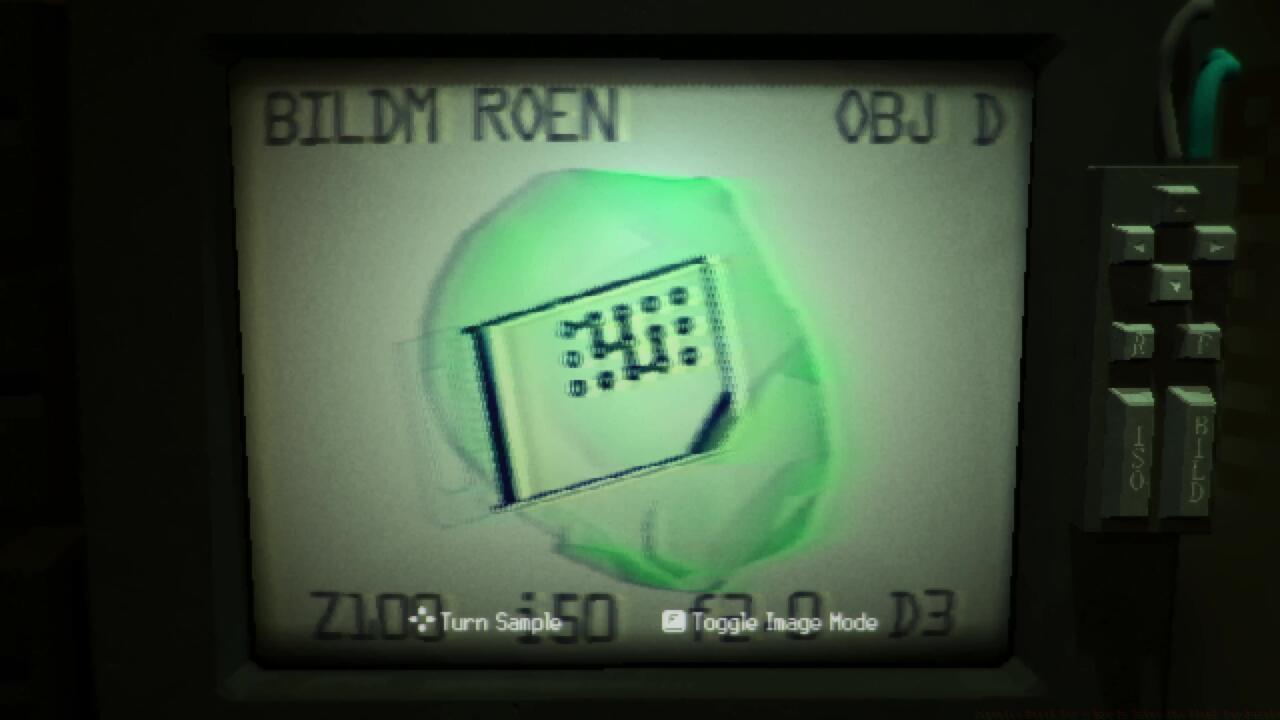 Not the strangest thing found in an X-Ray.