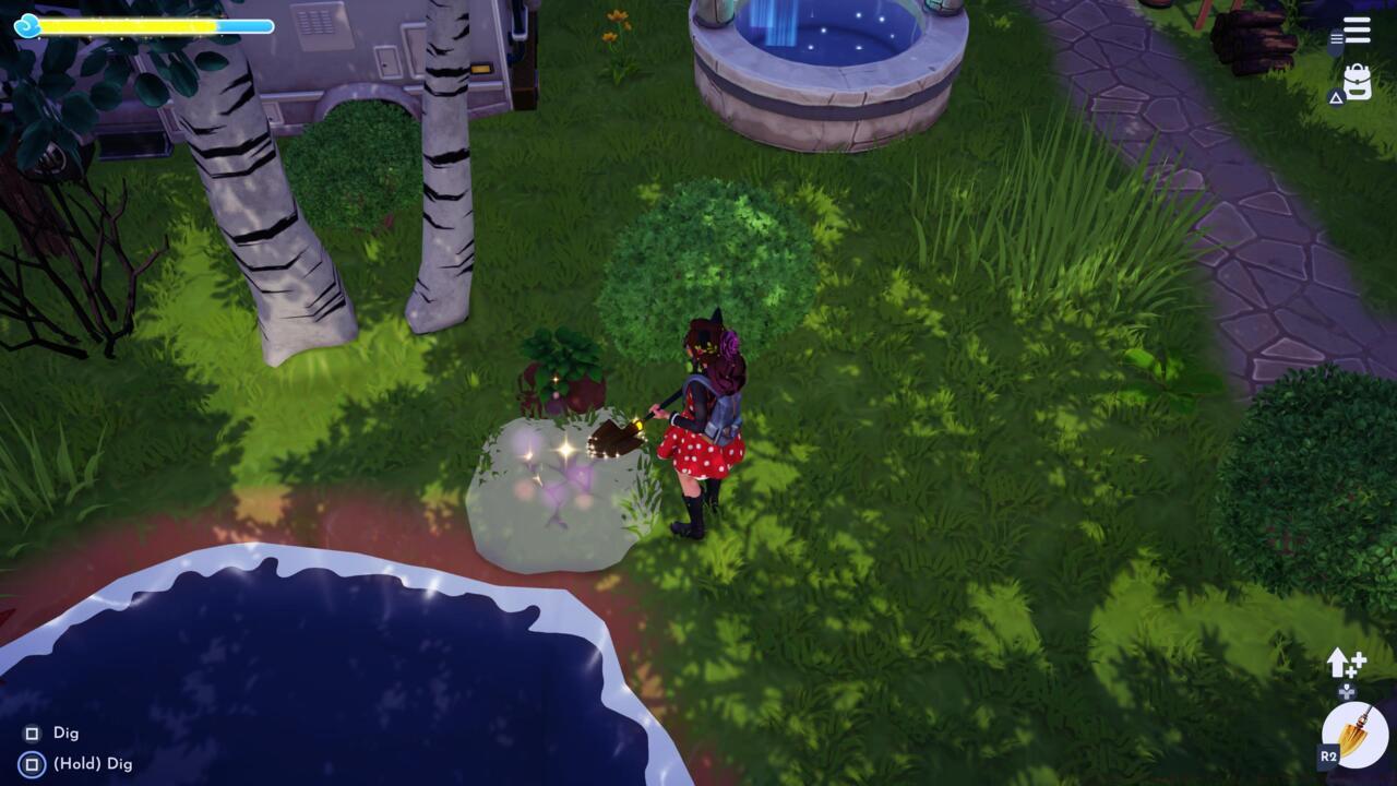 Digging up cracked spots in the soil will frequently reward you with Dream Shards.