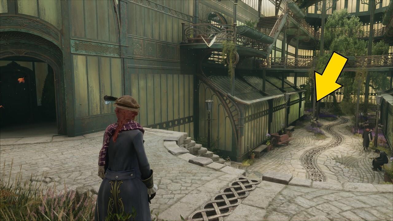 Check the staircase underneath the tree.