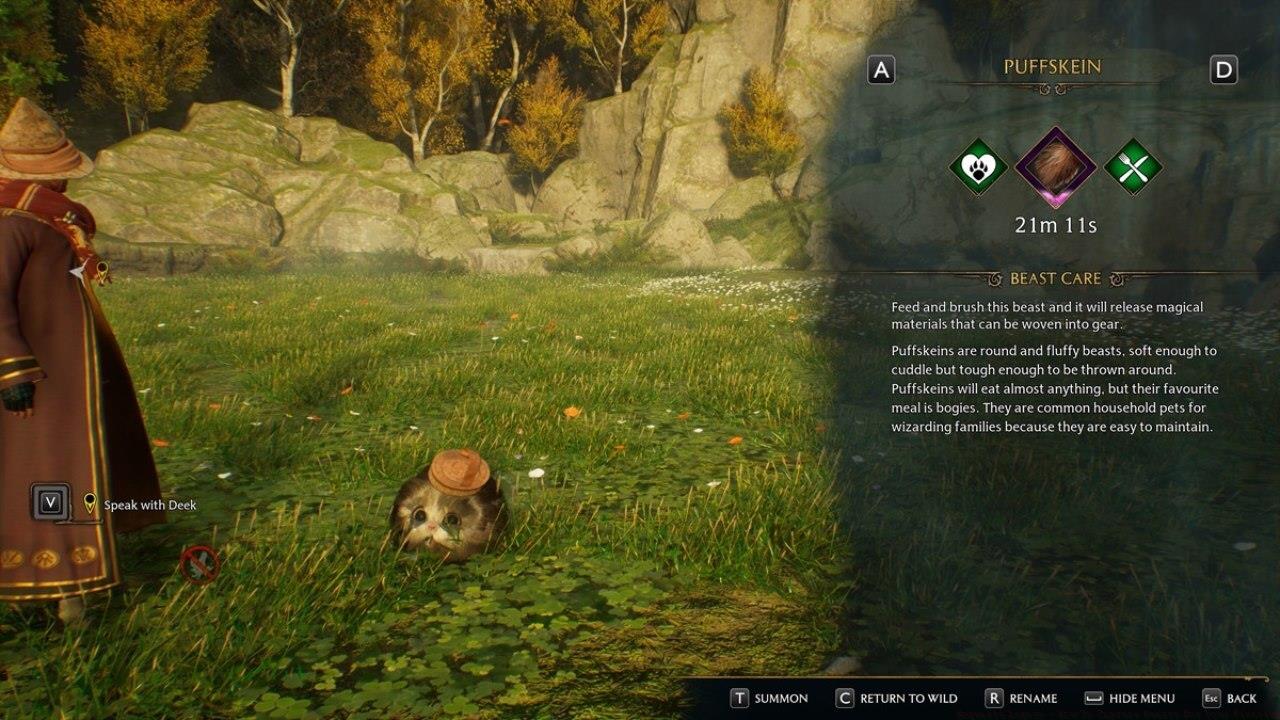 Once you place animals in your Vivarium, you'll pet and feed them to earn materials.