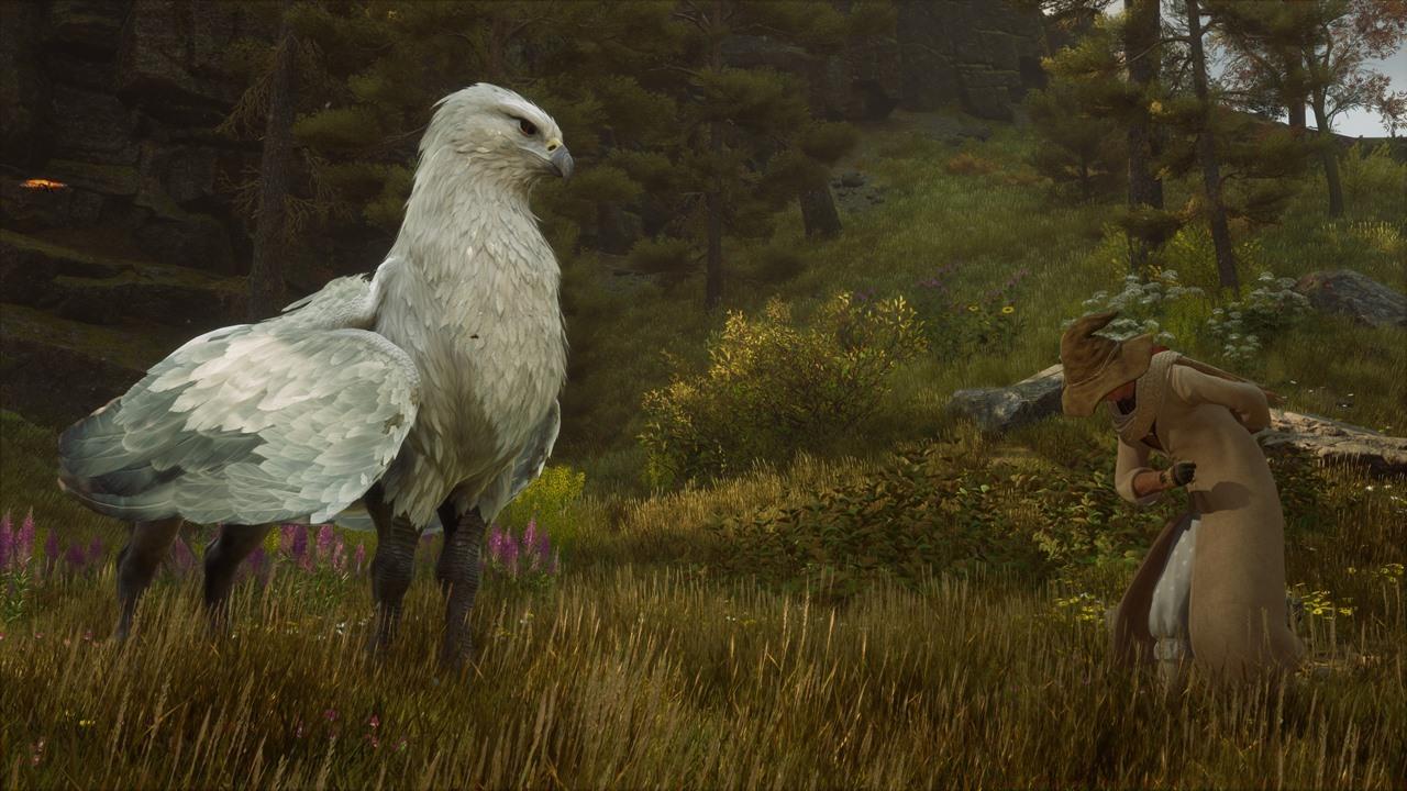 You'll introduce yourself to Highwing during your first Beast Class, and you'll get to rescue your new friend in The High Keep.