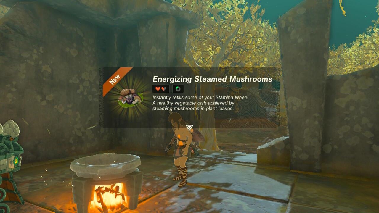 You can cook anything, though it won't always turn out edible.