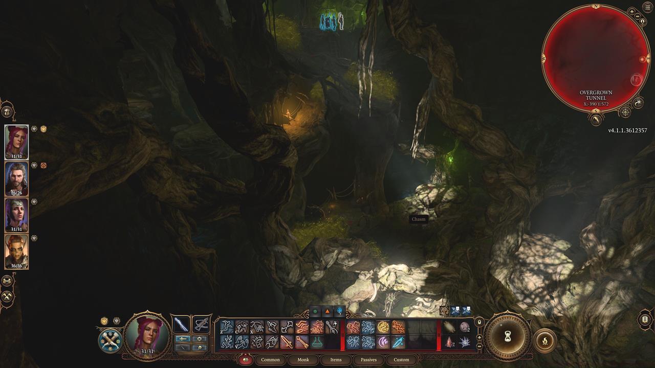 The left side of the vines area has a portal that leads to the Underdark. You need to wear a mask to pass through the illusory wall.