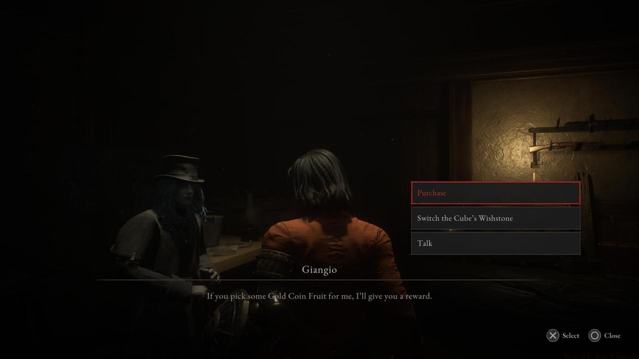 Giangio can sell you more Wishstones in exchange for Gold Coin Fruits.