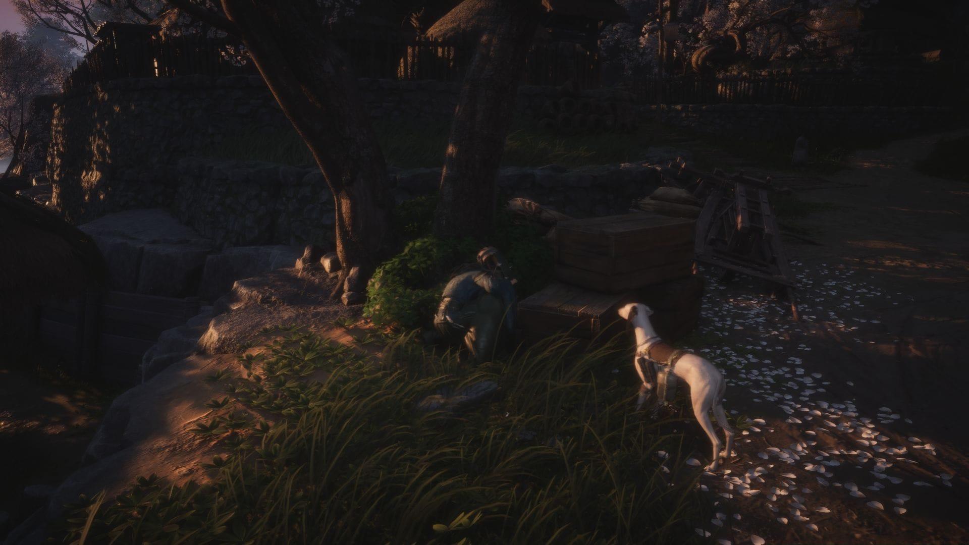 The Dogs Know First quest walkthrough (Image via NetEase)