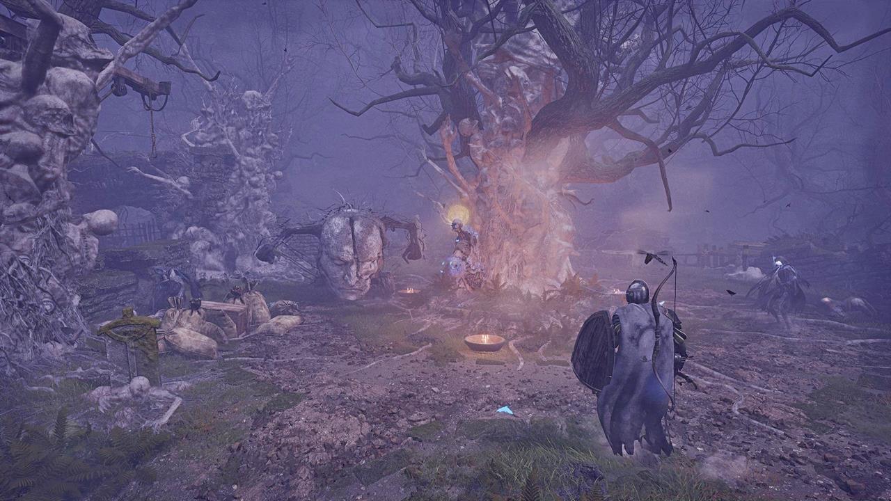 Fitzroy's Gorge Saintly Quintessence