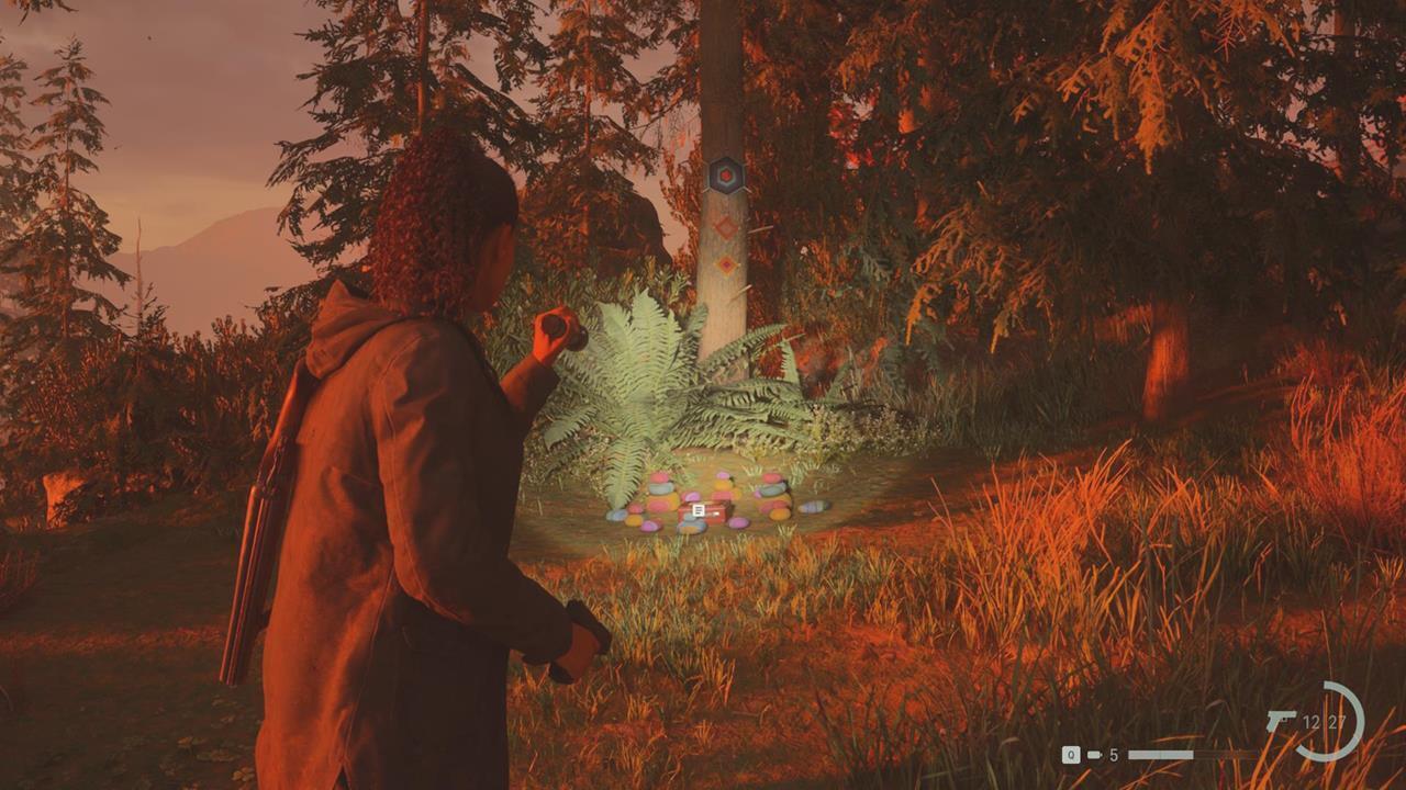 Colorful decorations mark the paths leading to lunchboxes.