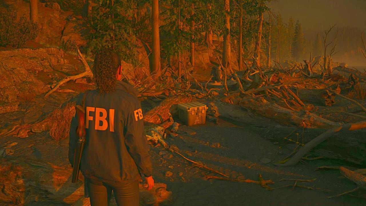 Saga inventory upgrade #2