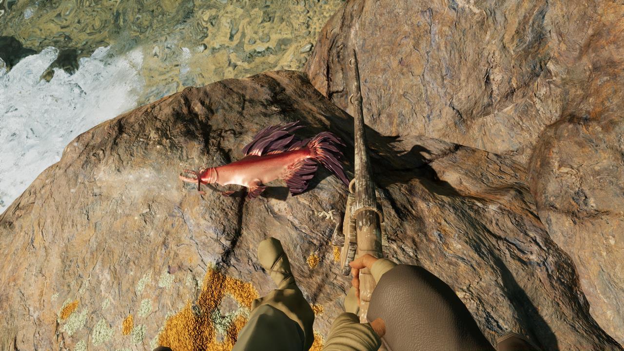 Grab your catch and get ready to cook some seafood.