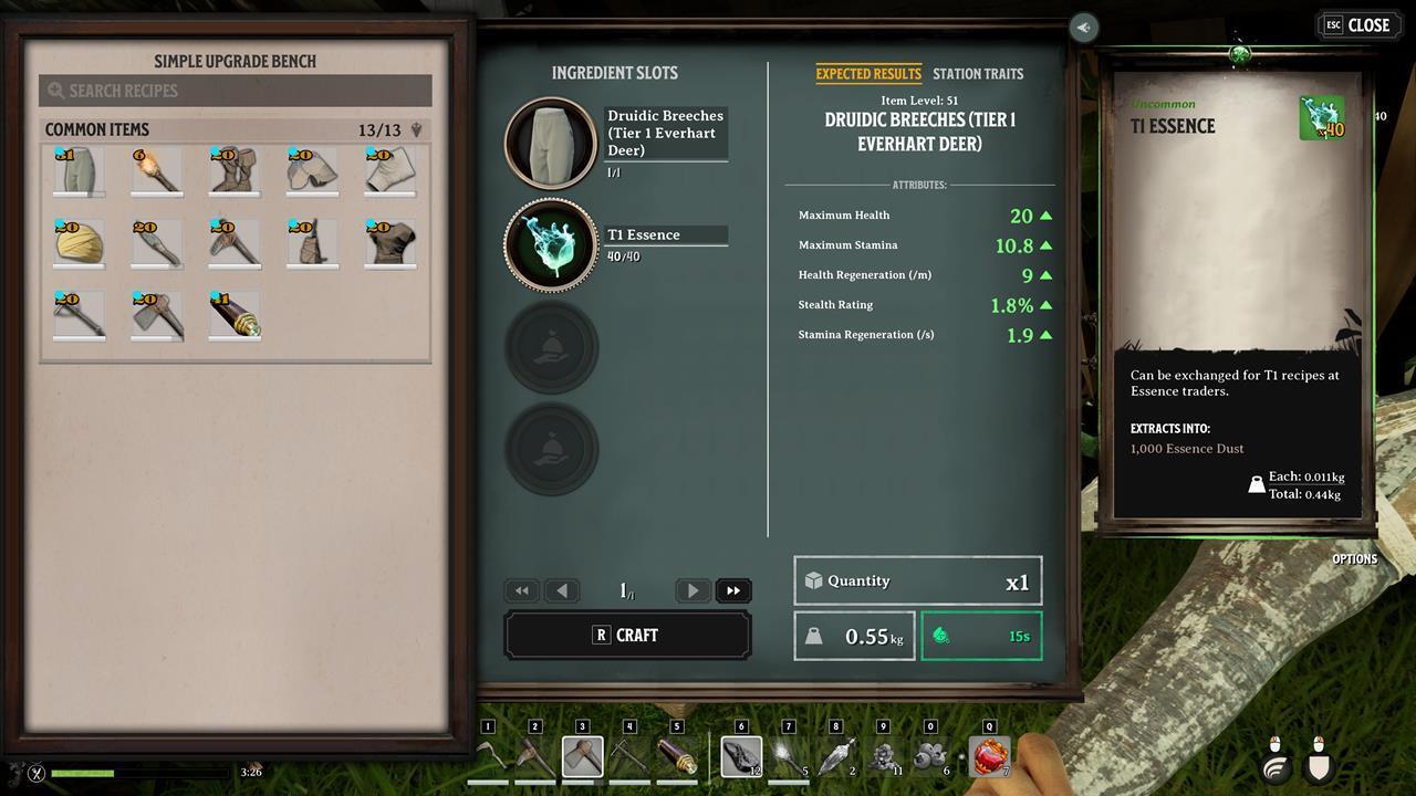 We opted to upgrade the Druidic Breeches before other clothing since it had the highest gear score by default.