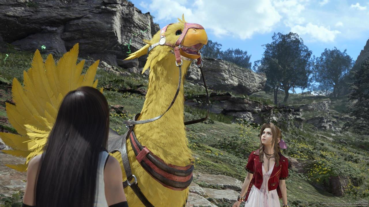 Piko: The Yellow Chocobo of the Grasslands