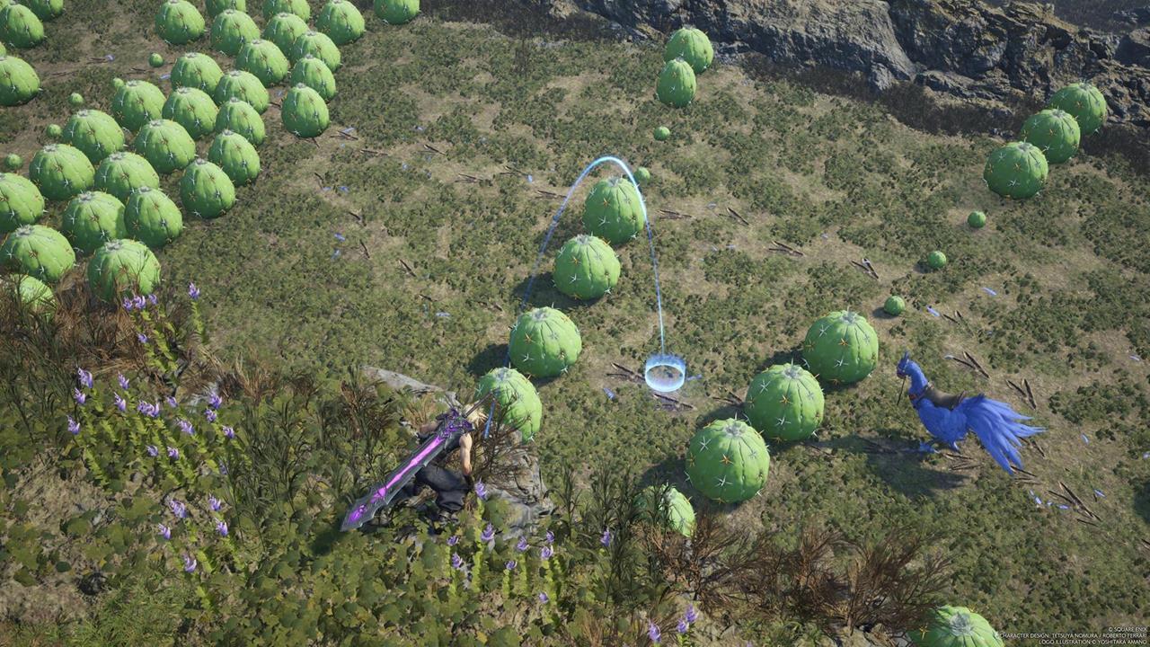 How to catch the Nibel Chocobo