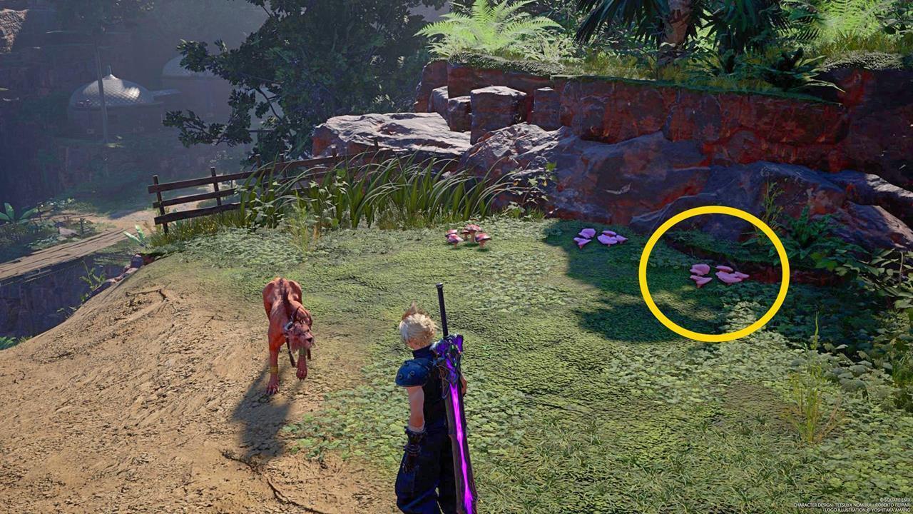 Chapter 9 conversation: Gongaga Memorial Hill