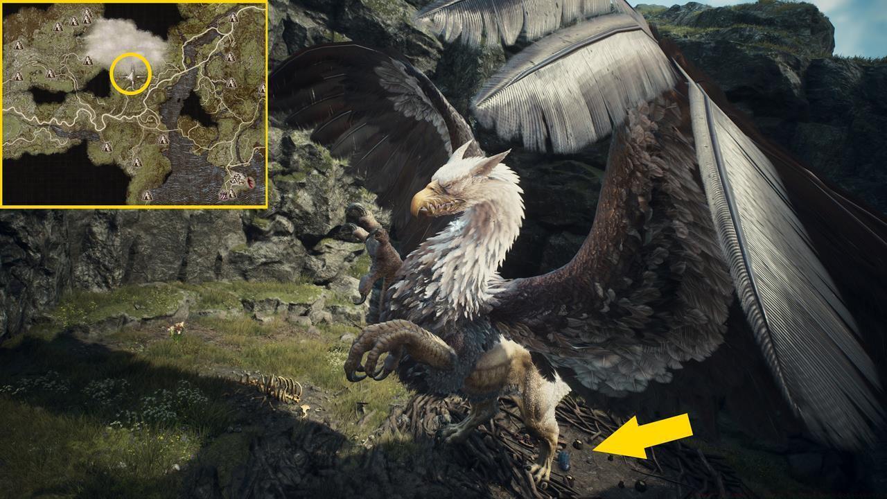 Reusable Portcrystal #5: Griffin's Nest in the Misty Marshes