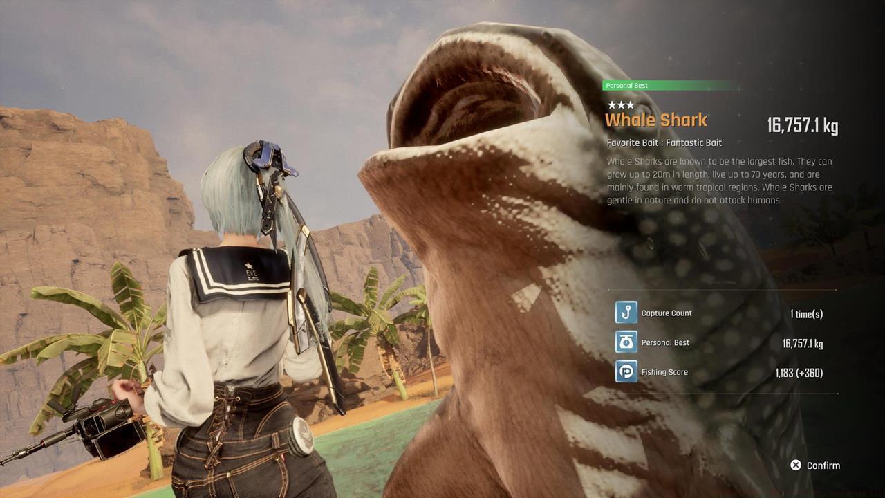 The Fish of Legends: Whale Shark