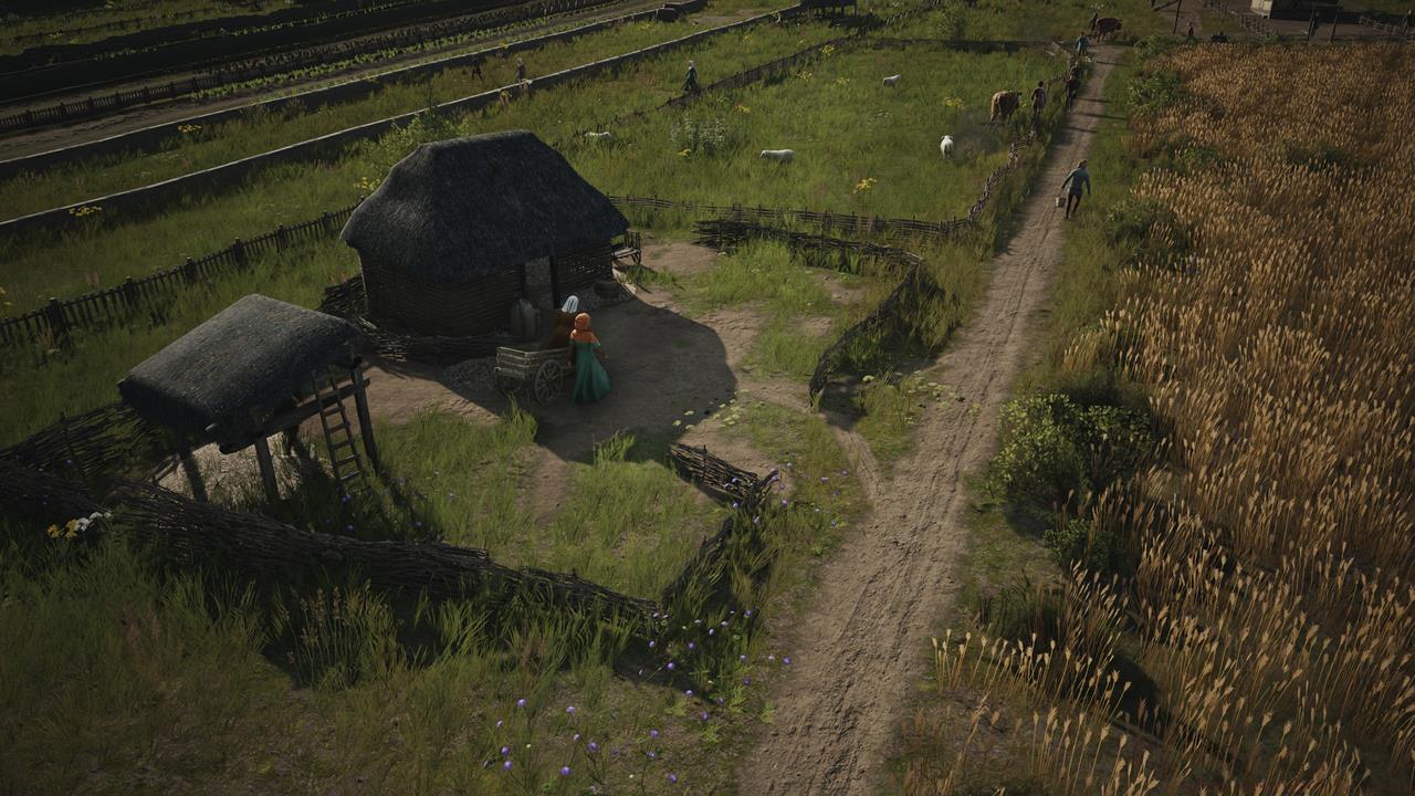 Start obtaining additional livestock for your settlement.