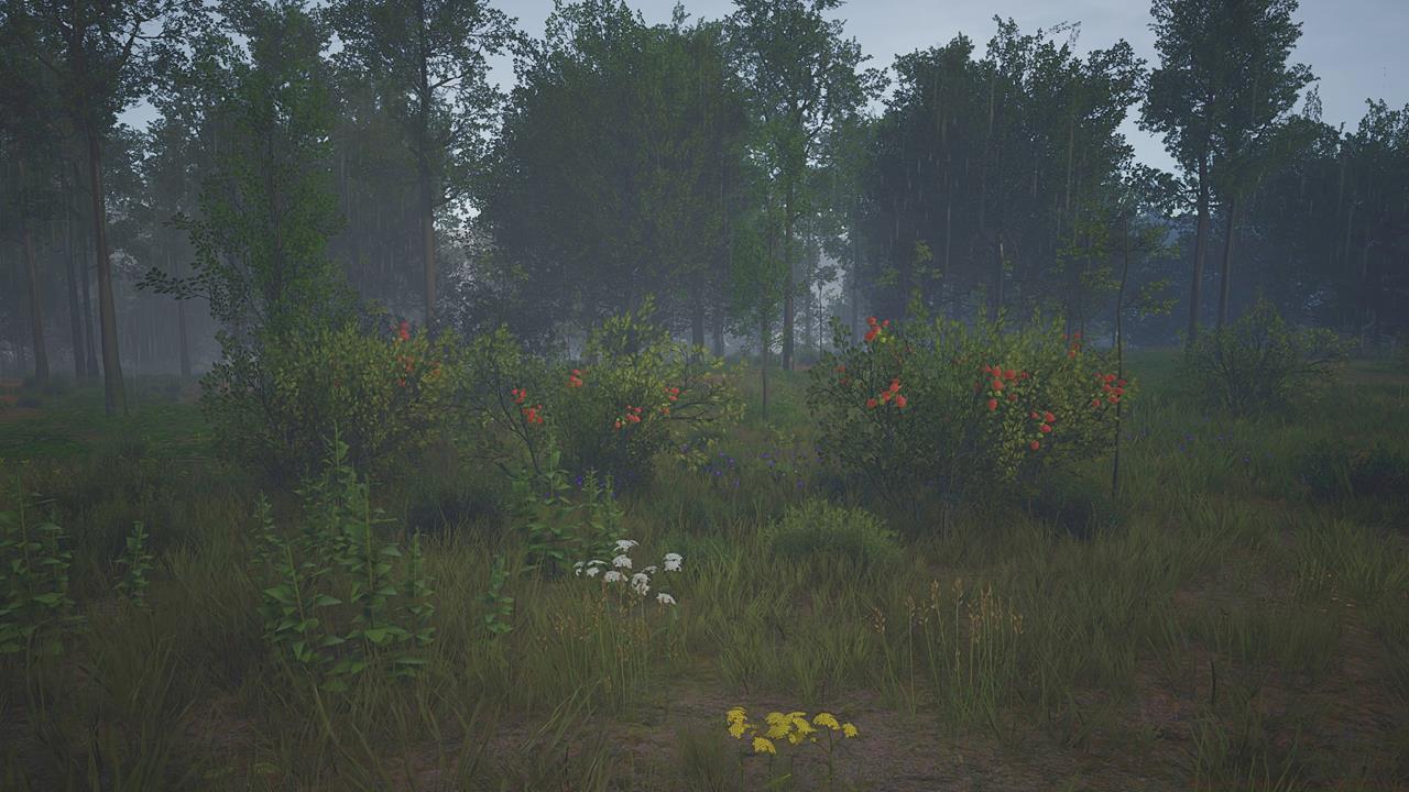 Berries: The basic building blocks