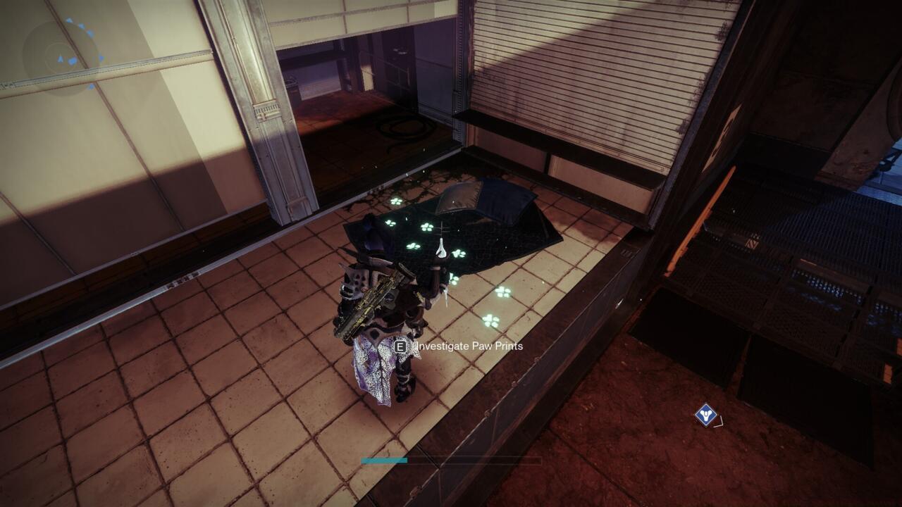 Begin the quest by investigating the first set of paw prints.