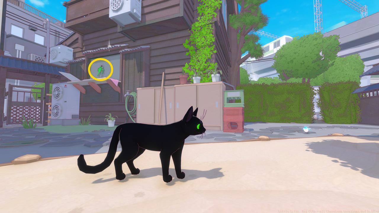 Chameleon location 1: Dry garden