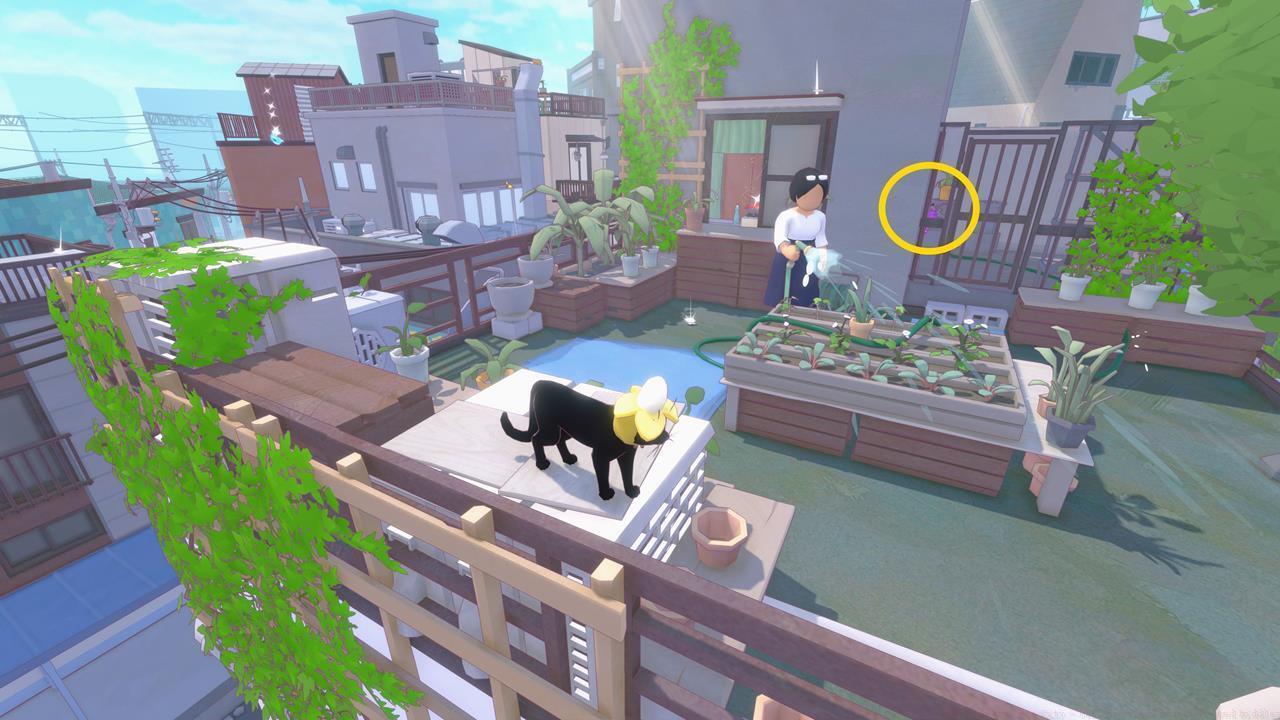 Chameleon location 6: Rooftop garden