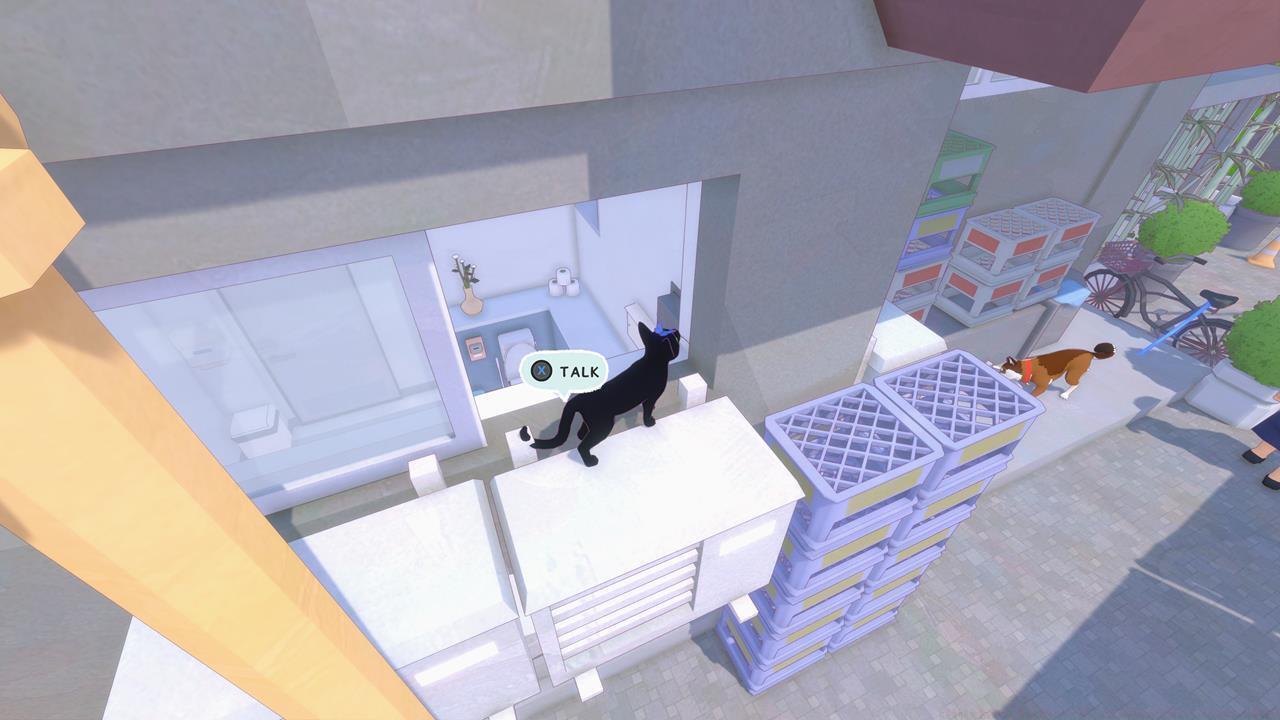 Chameleon location 9: Convenience store bathroom