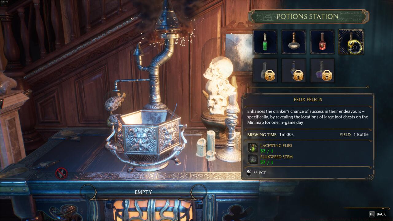 Felix Felicis Potion