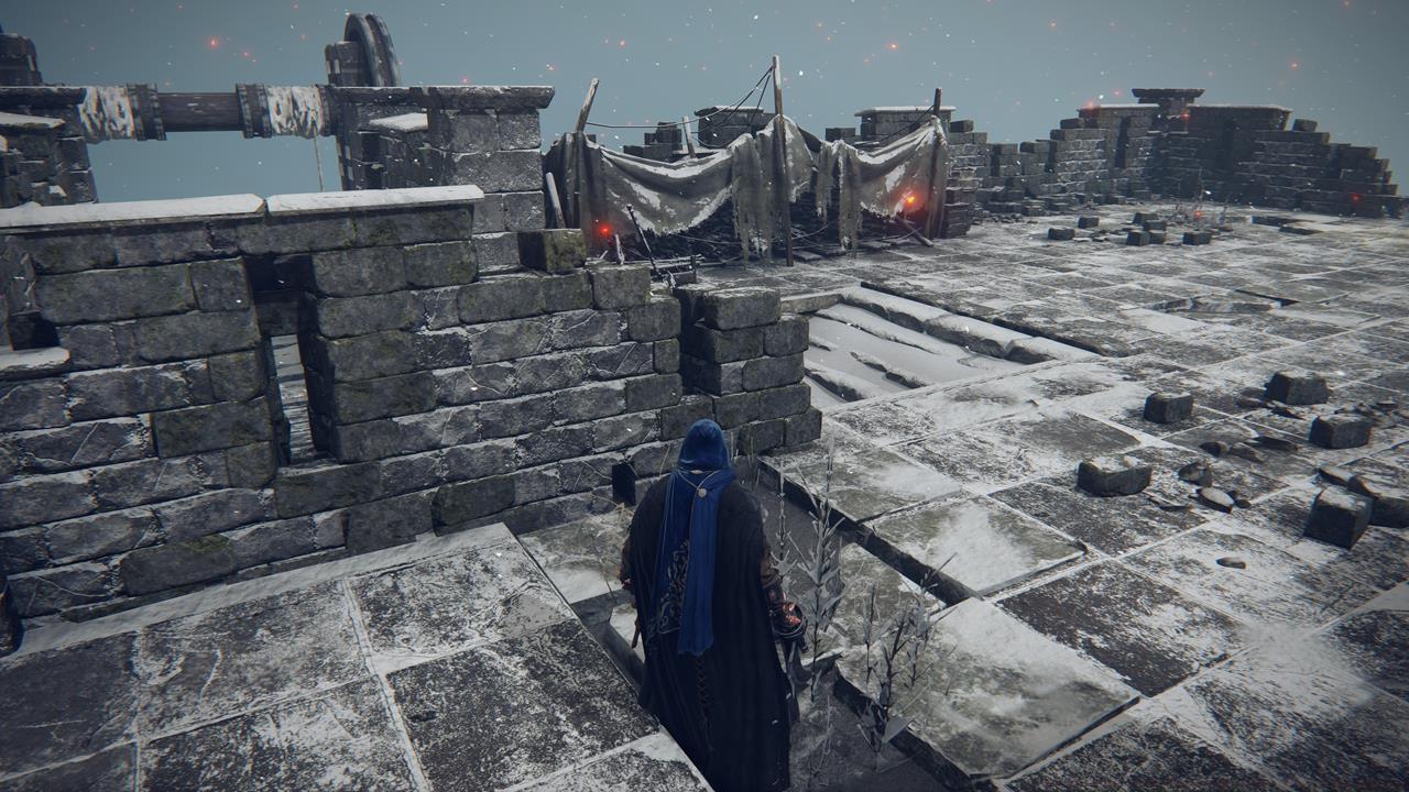 Haligtree Secret Medallion (Left) location