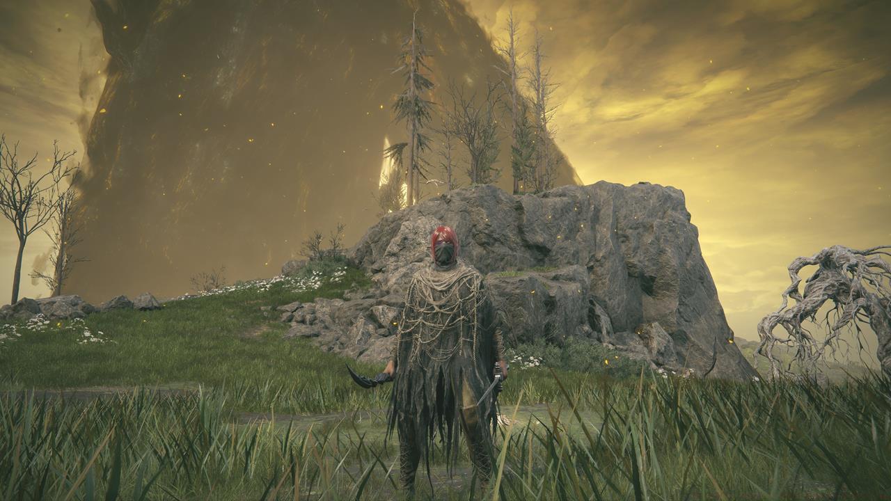 Scaduview and Hinterlands