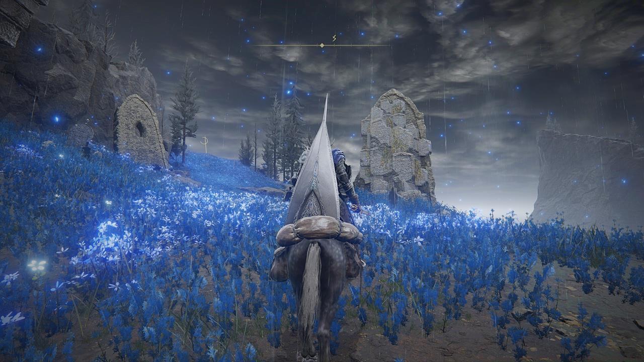 Cerulean Coast Cross