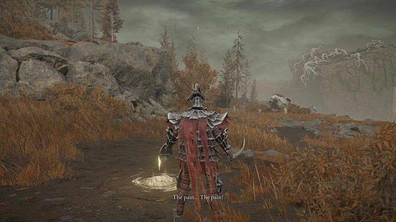 The troubles of Igon