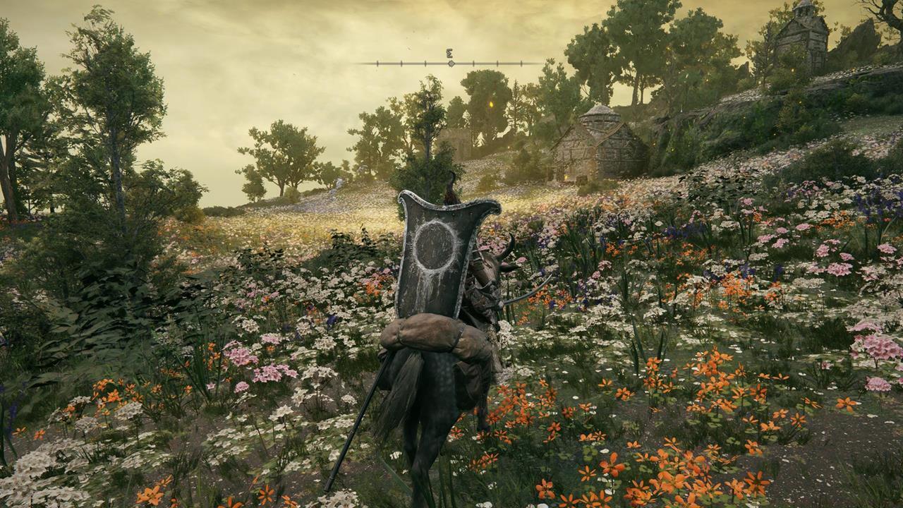 What can you expect in Scaduview?