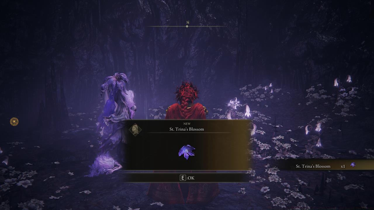 The conclusion of the St. Trina and Thiollier quest