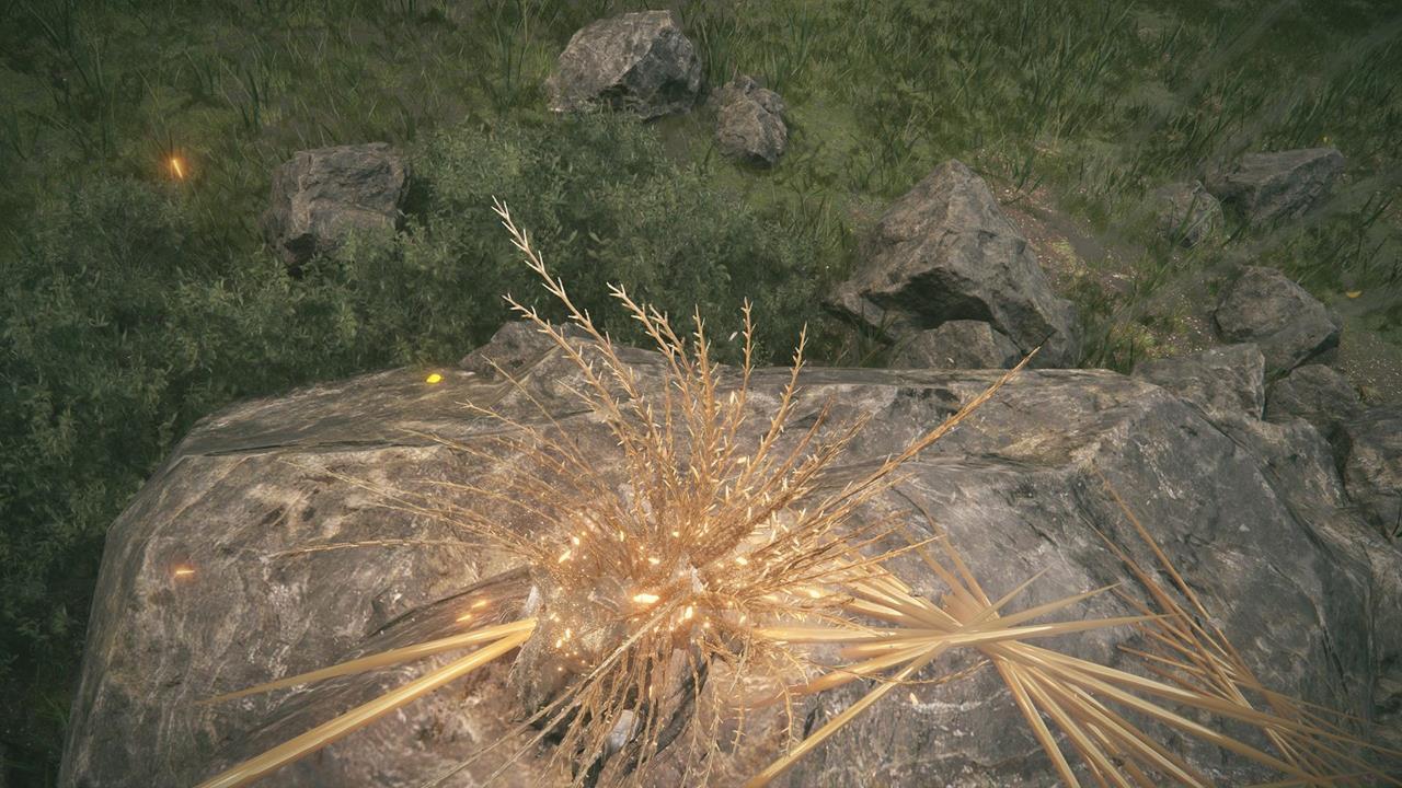 Aspects of the Crucible: Thorns