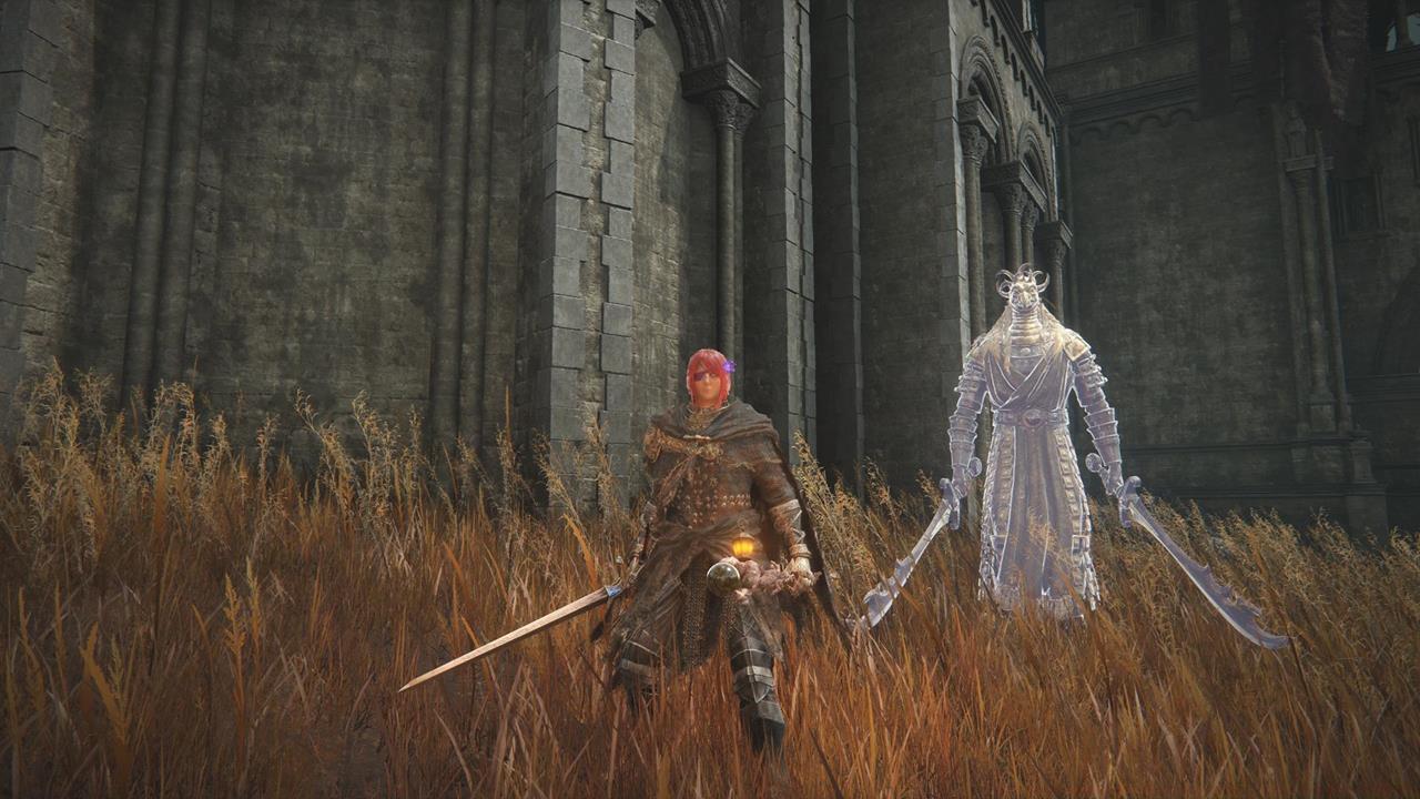 Divine Bird Warrior Ornis