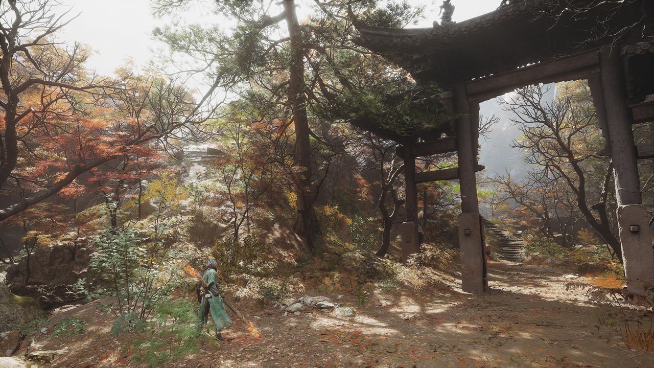 Chapter 4: The Webbed Hollow - Meditation Spot 6