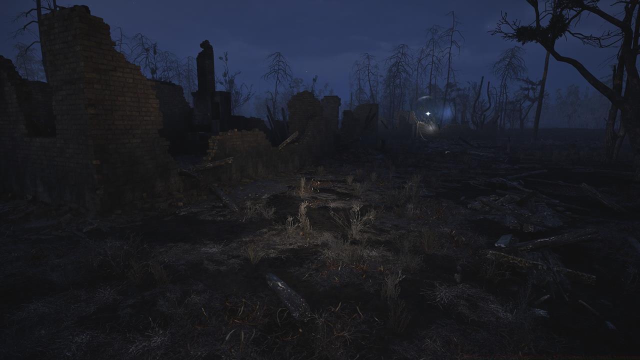 Journalist Stash #11: Burnt Forest