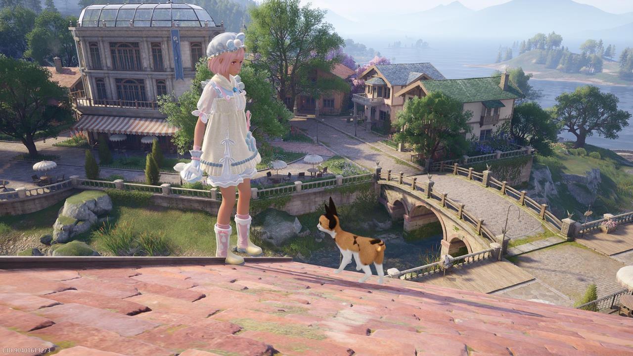 Animal Grooming: Bye-Bye Dust